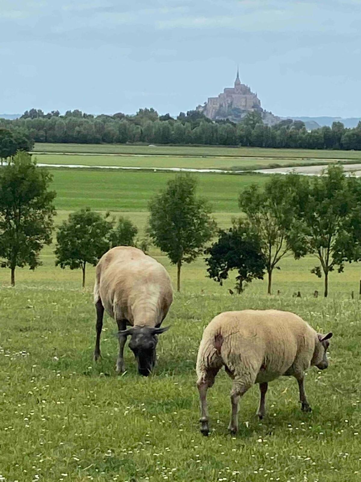 Gites Le Mont Desclos Saint Michel Beauvoir  Rum bild